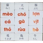 Thẻ Học Thông Minh Flashcard Glenn Doman Xả Kho Giá Rẻ BABY GLENN DOMAN