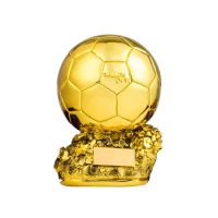 Light Grey 20 European Football Golden Ball Award Competition Honor Reward Spherical Trophy Customizable Gift For Childen Adult Home Decor