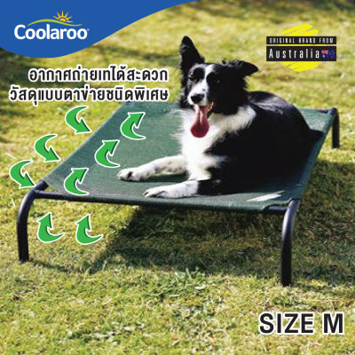 เตียงนอนสุนัข เตียงนอนแมว Coolaroo Pet Bed ผ้าตาข่าย บรรเทาแผลกดทับและโรคผิวหนัง (Size M)