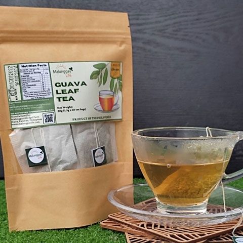 Guava Tea (100pcs/20pcs) /Pure Locally-Grown / Farm-grown Natural ...