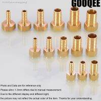 ❈ 1pcsBrass Hose Fitting 6/8/10/12/14/19mmBarb Tail 1/8 1/4 1/2 3/8 BSP Female Thread Copper Connector Joint Coupler Adapter