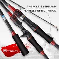 ETXFishing Rod Spinning Casting Fishing Rod 1.65/1.8m Carbon Fiber/Glass M Power 2 Sections Lure Fishing Rod Lure Weight 8-20g Pole