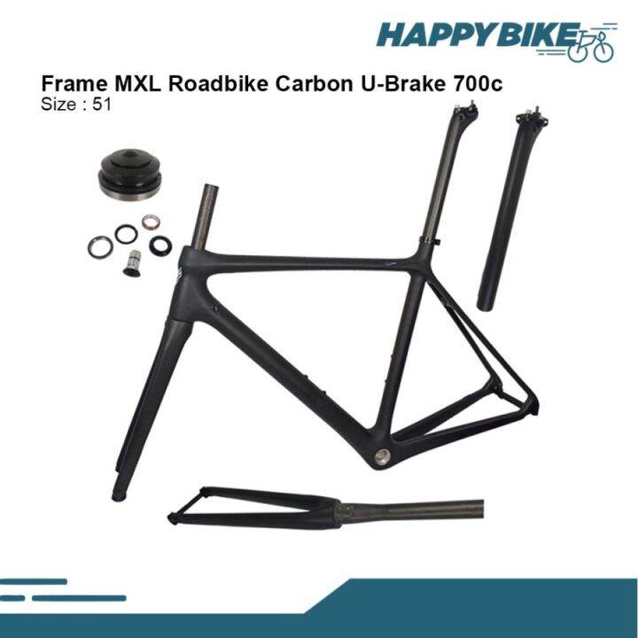 frame carbon sepeda