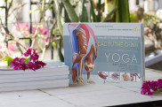 Các Tư thế Chính trong Yoga - Hướng dẫn về Giải phẫu Chức năng trong Yoga