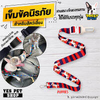 เข็มขัดนิรภัย Doggy Style สำหรับสัตว์เลี้ยง หมา แมว เข็มขัดที่นั่ง ลาย RAINBOW ปรับความยาวได้ 48-79 cm. ใช้ได้กับรถทุกรุ่น โดย โดย yes pet shop