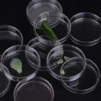 、’】【‘ 10PCS Plastic Sterile Petri Dishes Bacteria Culture Dish With Lids 60X15mm For Laboratory Biological Scientific School Supplies