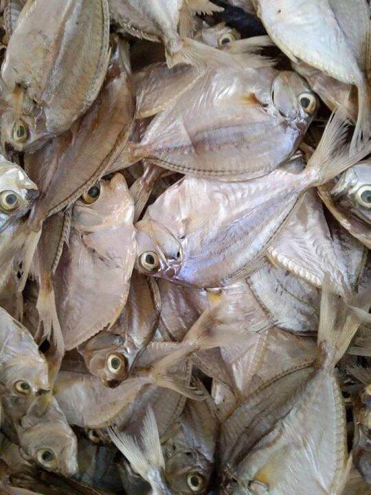 Tuyo, Dried Sapsap fish, salt & sun dried 500g Lazada.co.th
