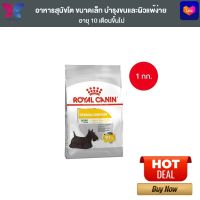 Royal Canin Mini Dermacomfort 1kg อาหารเม็ดสุนัขโต พันธุ์เล็ก ผิวแพ้ง่าย อายุ 10 เดือนขึ้นไป (Dry Dog Food, โรยัล คานิน)