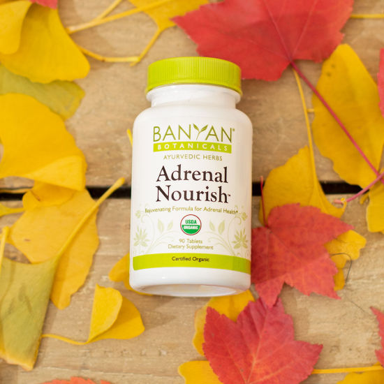 Banyan botanicals adrenal nourish - viên uống giúp cơ thể đối phó với căng - ảnh sản phẩm 1