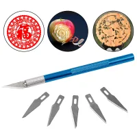 6 Blades Craft Artwork Engraving DIY Cutter Set Model Repairing Multipurpose Sculpture Scalpel Carving Knife Shoes Accessories