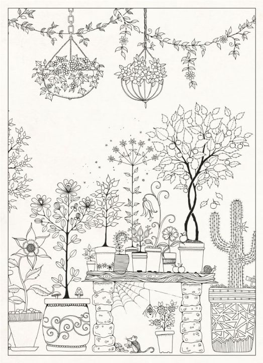 original-secret-garden-20-postcards-secret-garden-coloring-book-20-postcards-coloring-book