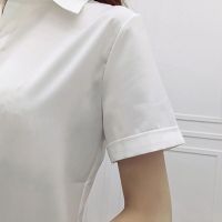 Summer dress white shirt female short-sleeved show thin thin paragraph relaxed joker leisure high-grade joker students professional attire