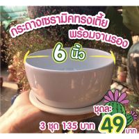 กระถางเซรามิคทรงเตี้ย สีขาวมัน กว้าง 6 นิ้ว พร้อมจานรอง