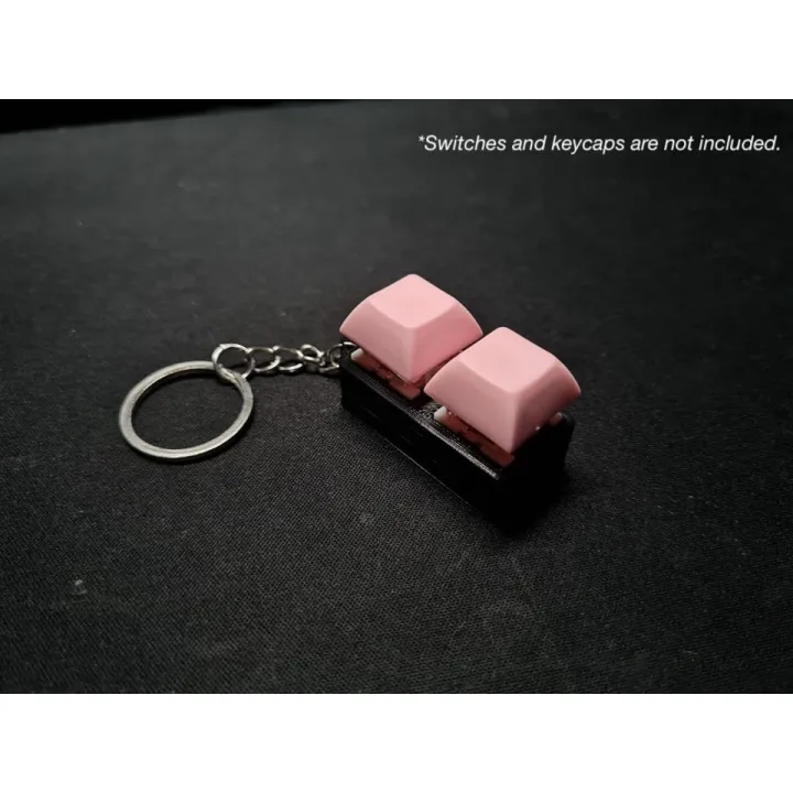 ↂ♝卍 3D Printed Mechanical Keyboard Switch Fidget Keychain Slot Duo (2 ...