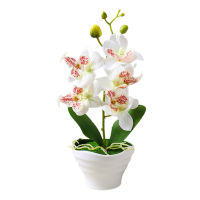 กระถางดอกไม้ประดิษฐ์ Phalaenopsis เครื่องตกแต่งบอนไซ Balcany ตกแต่งภูมิทัศน์บ้าน