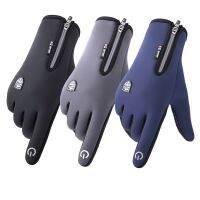 【CW】 Riding Gloves Outdoor Warm Mountaineering Skiing Windproof Motorcycle