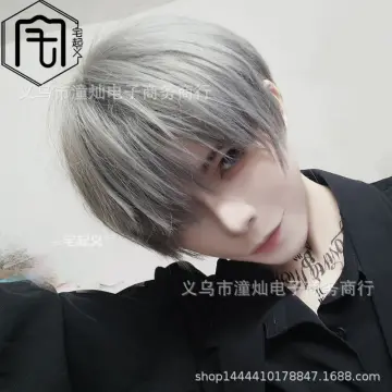Men Ombre Silver Grey Full Wigs Short Straight Handsome Hair