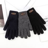 Winter Autumn Men Knitted Gloves Screen High Quality Wool Solid Color Gloves Men Mitten