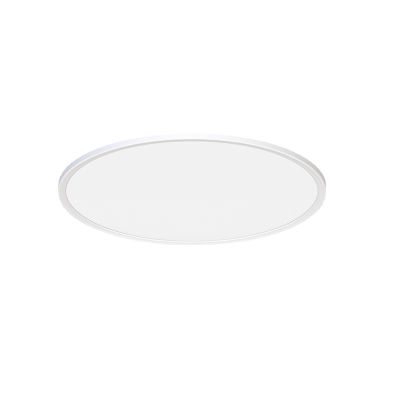 Tuya WIFI Smart Ceiling Lamp WIFI APP Voice Control Light for Living Room Decoration Bedroom