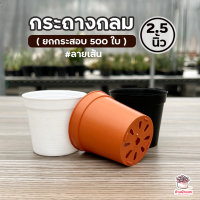 ( ยกกระสอบ 500 ใบ ) กระถางกลม 2.5 นิ้ว #ลายเส้น กระถางแคคตัส กระถางกระบองเพชร กระถางต้นไม้ กระถางพลาสติก