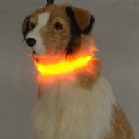 Pet Dog Collar LED Light Up Dog Collar Luminous Flashing Glowing Necklace Night Safety Collar Pet Supplies