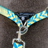 Pet Accessories Dog Collar Polyester Soft Personalized Logo Item Pattern Touch Multicolor Leash