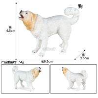 【SALE】 tangticarans1972 DIY จำลองสัตว์ปีกสัตว์พลาสติกรุ่นการกระทำสีขาวสัตว์เลี้ยงสุนัขตัวเลขคอลเลกชันของเล่นเพื่อการศึกษาสำหรับเด็กเครื่องประดับของขวัญ