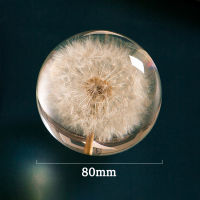 Real Dandelion Crystal Glass Resin Lens Ball 80mm Natural Plants Specimen Feng Shui Flowers Christmas Love Gift Home Decor Globe