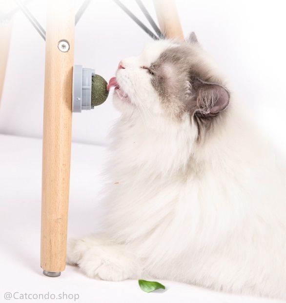 catnip-ออร์แกนิค-ของเล่นแมว-บอลcatnip-แบบเลีย