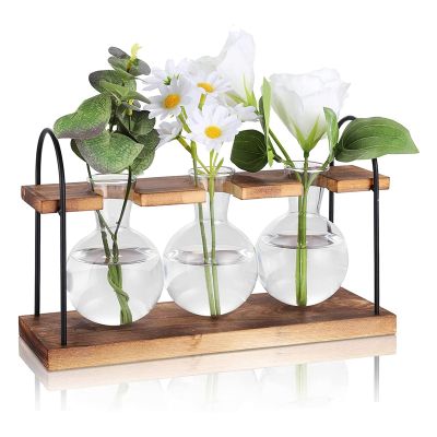 Plant Propagation Station with Wooden Stand,Plant Terrarium Desktop Propagation Stations,Air Planter Bulb Glass Vase