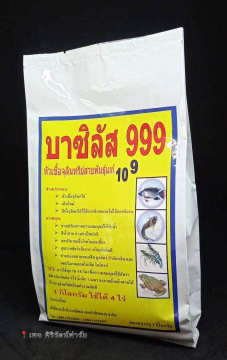 บาซิลัส-999-หัวเชื้อจุลินทรีย์สายพันธุ์แท้-1-กิโลกรัม-สำหรับสัตว์น้ำ-ปลา-กบ-กุ้ง