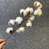 【CC】 Artificial Dried Cotton Flowers Branch Wedding Decoration Fake Eucalyptus Leaves