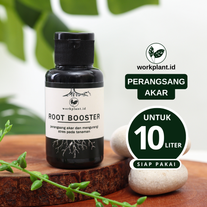 Root Booster Perangsang Akar Tanaman Hias Hormon Akar Mempercepat Pertumbuhan Akar Tanaman