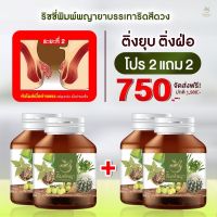 (โปรโมชั่น 2แถม2) สมุนไพร ริดสีดวงทวาร ริชชี่พิมพ์พญา เพชรสังฆาต ส่งฟรีทุกออเดอร์