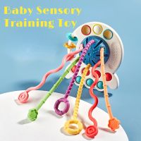 Baby Sensory Development Educational Pull String Grasp Training Early Teething BPA 1-3Y