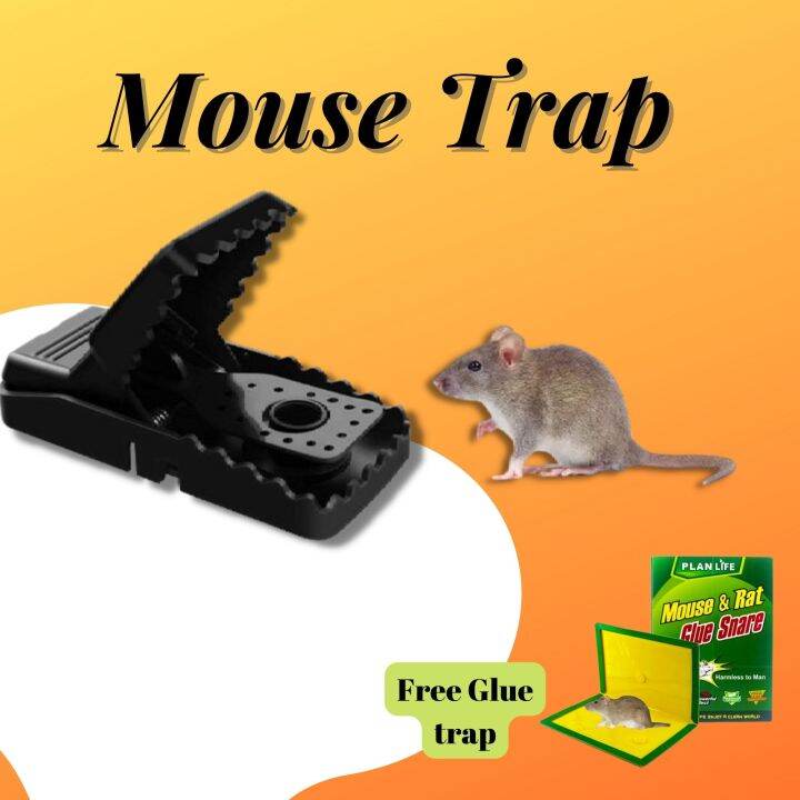 ORIGINAL MOUSE AND RATS GLUE TRAPS STICKY MOUSE BOARD GLUE TRAPS MOUSE ...