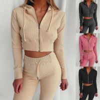 【DT】hot！ Piece Set Outfits Sleeve Hooded Short Crop Top Pants Leggings 2 Tracksuit