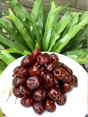 (ขายดี!!) ส่งฟรี!! พุทราเชื่อม 100 กรัม ผลไม้แช่อิ่ม ผลไม้เพื่อสุขภาพ ผลไม้จากเกษตรกรชาวไทย ของทานเล่น น้ำตาลน้อย OTOP sweet jujube 100 g Compote