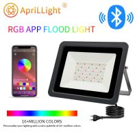 220V LED RGB Floodlight 50W 100W Bluetooth APP Smart Flood Light Outdoor Lighting IP68 Waterproof LED RGB Spotlight Reflector