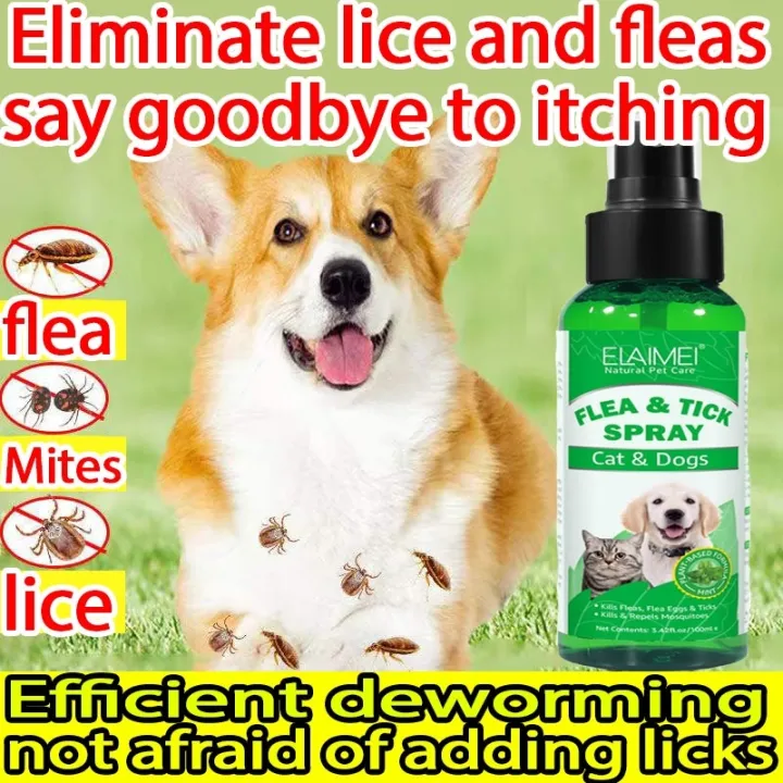 Reptiles house Authentic Effective! tick and flea killer for dogs fleas