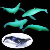 5Pcs Mini Whaleการสร้างแบบจำลองแม่พิมพ์เรซินOcean Luminousปลาวาฬฟิลเลอร์DIYบรรจุวัสดุเรซินArtงานหัตถกรรม