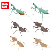 Bandai Genuine Gashapon The Diverysity of Life on Earth 02 Simulation Giant Dead Leaves Mantis Joints Movable Action Figure Toys