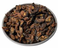 หอยแมลงภู่เกาหลี อบแห้ง 干贻贝,DRIED KOREAN MUSSELS สินค้านำเข้าจากเกาหลี 1ถาด/บรรจุน้ำหนัก 1กิโลกรัมKg ราคาพิเศษ สินค้าพร้อมส่ง