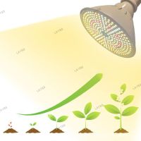 Full Spectrum 12W 290 LED Plant Grow Light Bulb Greenhouse Sunlight Phyto Lamp Vegetable Flower Cultivo Indoor Grow Box YB8TH