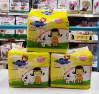 โอบิ สำหรับสุนัขเพศผู้  Size S จำนวน 12 ชิ้น Sukina Petto