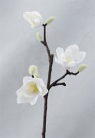 ดอกไม้แมกโนเลียขนาดเล็กการจำลองแบบหรูหรา1ชิ้นสำหรับงานเลี้ยงแต่งงานบ้านดอกไม้ปลอม Hiasan Kamar นั่งเล่นดอกไม้ประดิษฐ์