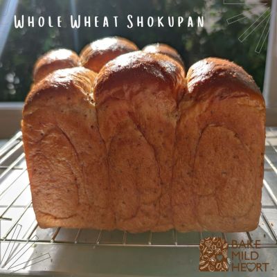 Shokupan Whole Wheat โชกุปัง โฮลวีท 540 กรัม