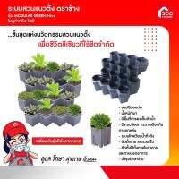 กระถางต้นไม้แขวนผนัง โมดูล่ากรีน ไฮฟ์ ชุด DIY MODULAR GREEN HIVE DIY (สั่งซื้อได้เเค่ 2 ชิ้นต่อเดอร์)