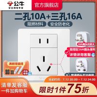 Bull socket flagship switch two holes 10A three 16A five or plug wall panel G07 white