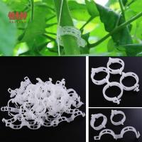 ABRAHAM New Stem Tendril Protection Connect Stalk Clamp Farming Tool Twine Gardening Supplies Bush Vines Clip Clip Plastic Plant Clips Fastener